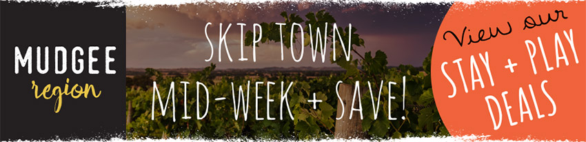 skip-town-banner2-the-parkview-hotel-mudgee