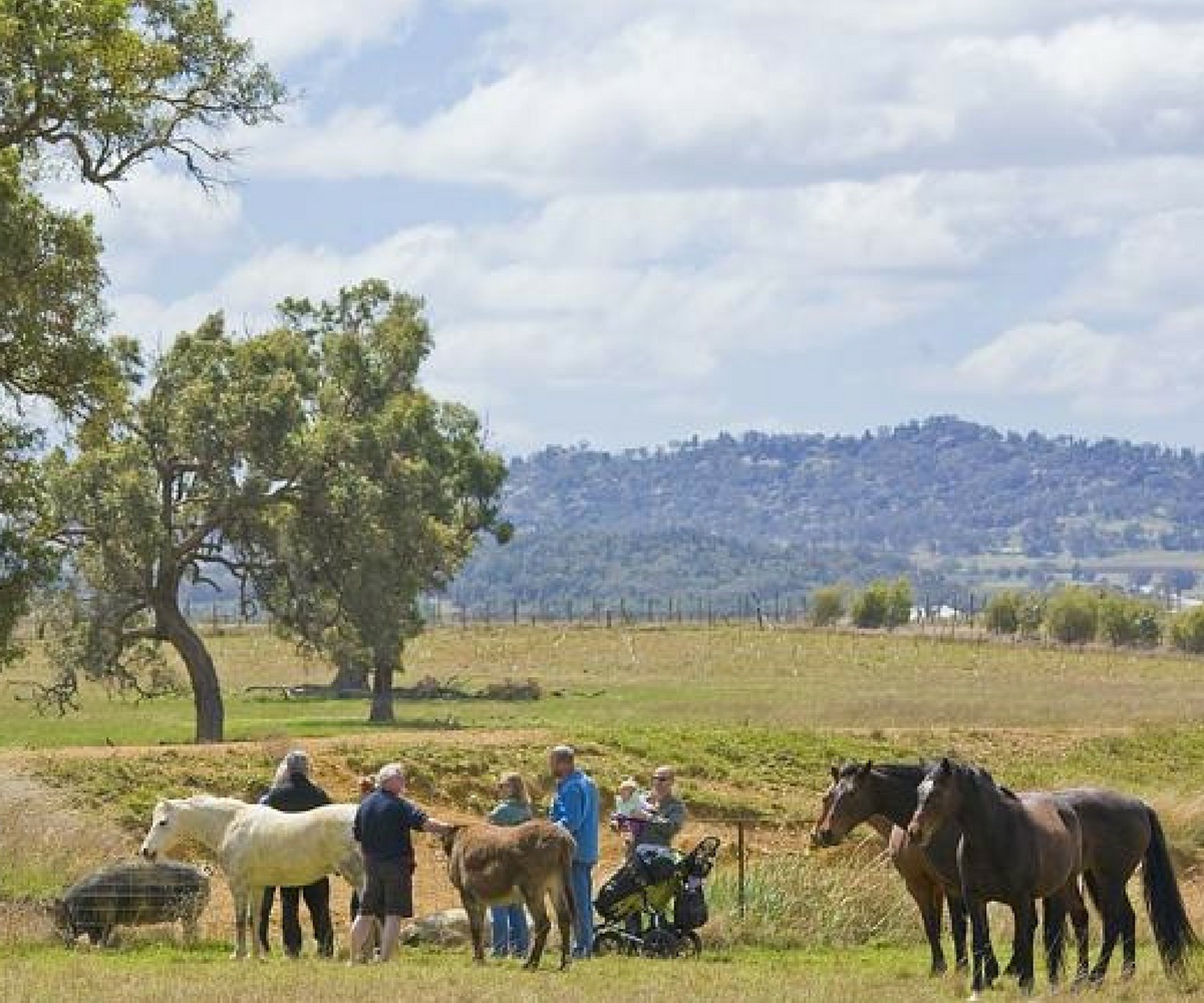 Mudgee Farm Tours