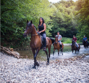 Horseback Riding Tours by Country Escape Tours