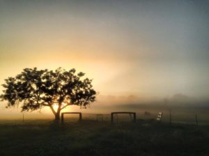 HORSEBACK RIDING TOUR BY COUNTRY ESCAPE TOURS mudgee